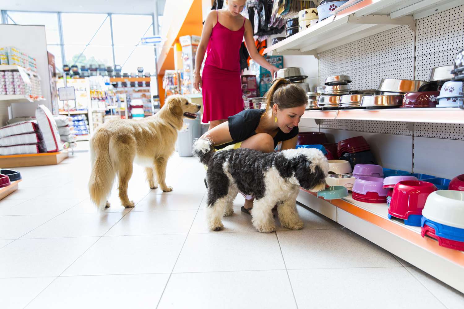 Pet Store Salesperson Job In Canada With Visa Sponsorship